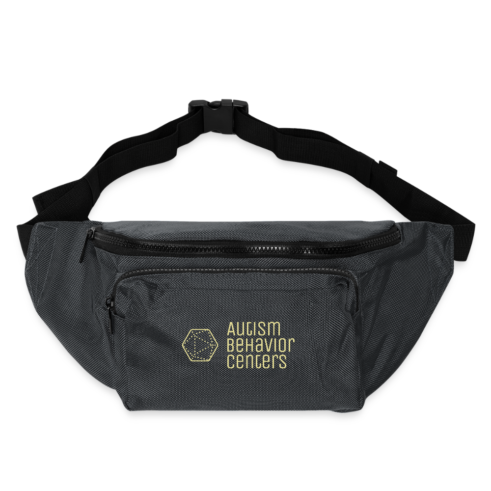 Large Crossbody Hip Bag - charcoal gray