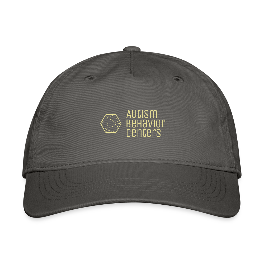 Organic Baseball Cap Light Logo - charcoal